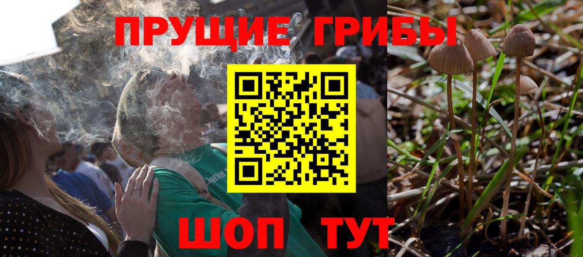 Галлюциногенные грибы ЛСД  Вход с VPN  Осинники 